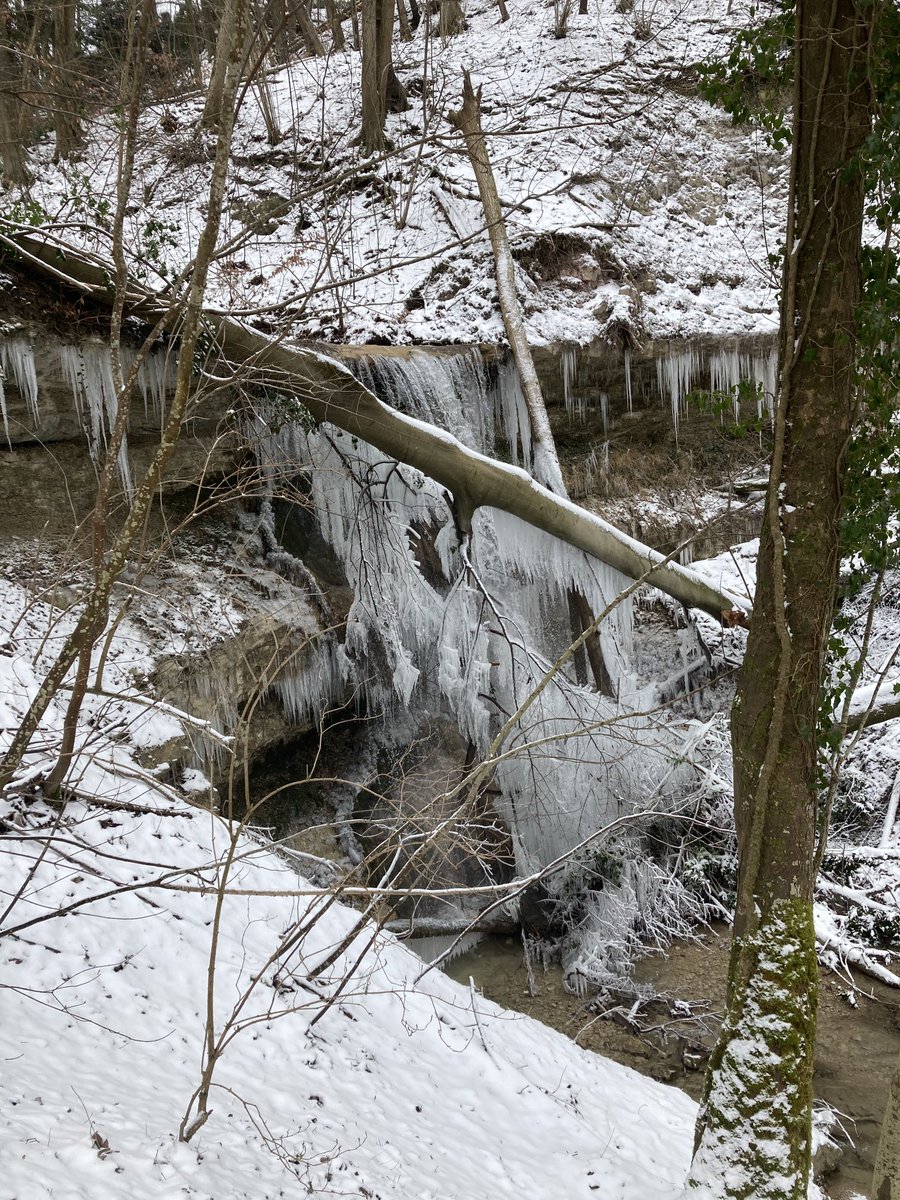 Swiss CryptoBaller (@swisscryptobalr) on Twitter photo 