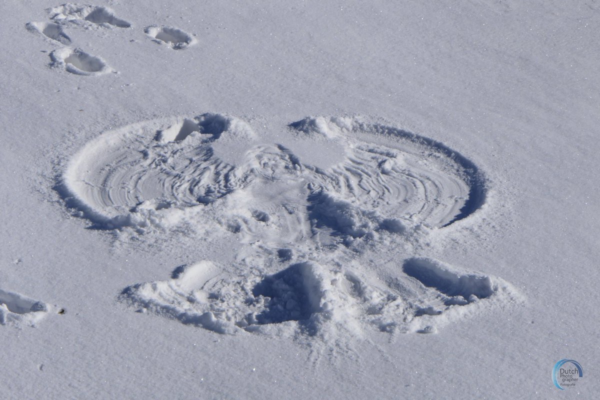 hevestwit's tweet photo. Snow Angel ! #winter #snow #angel https://t.co/PN4m6mqDwU