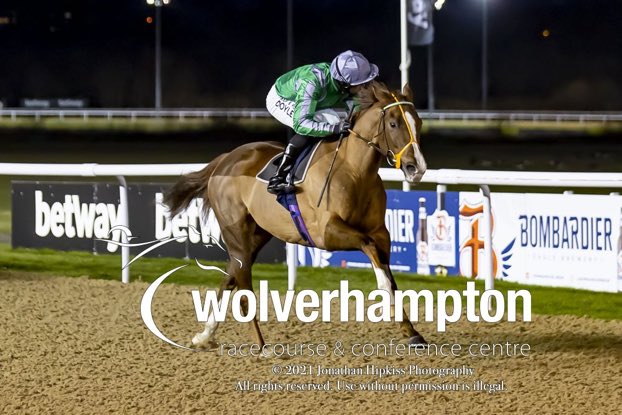 ARAFI makes it 3/3 @WolvesRaces winning the @Bombardier_beer Handicap for @rhannonracing & owner Ali Abdulla Saeed #easypeasy💫