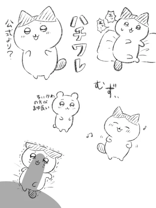 ハチワレ 練習 
