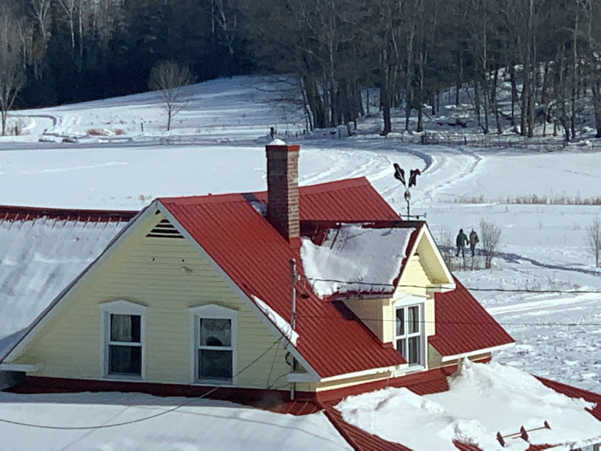JuniperFarm's tweet photo. So many folks have been enjoying our winter path as much as our family does, come take a walk. 375 shouldice Rd Wakefield
https://t.co/09zo9bdsBm
#farmstore #winterpath #getoutside #organicfarm https://t.co/OQ1TcNWLB9