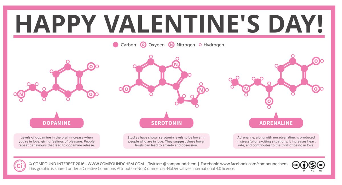 💕 The Biopsychology of love 💕
Happy Valentine’s Day! 💕 
 Credit: <a href="/compoundchem/">Compound Interest | Chemistry infographics</a> 💕
