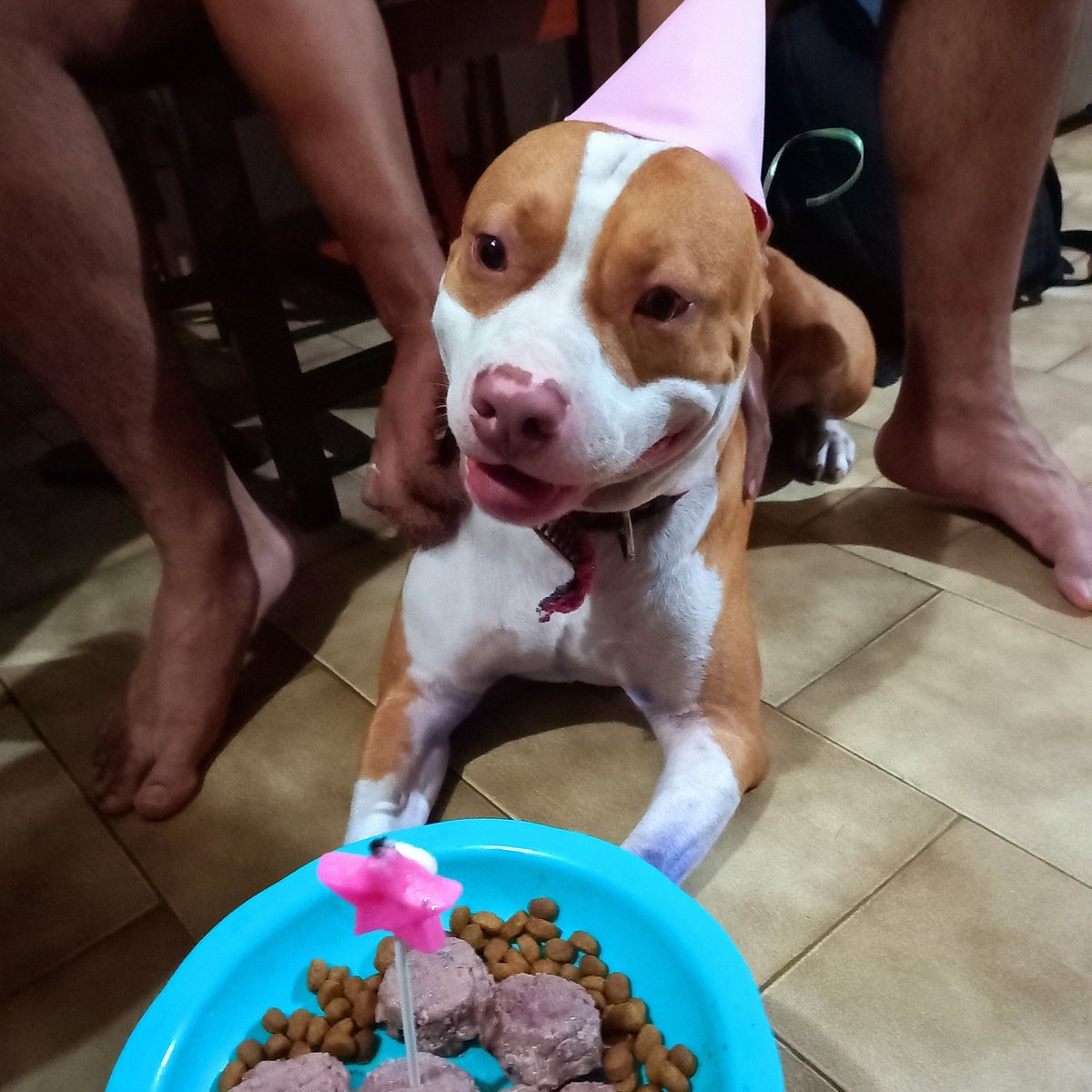 Bernando Fernardo tweet media