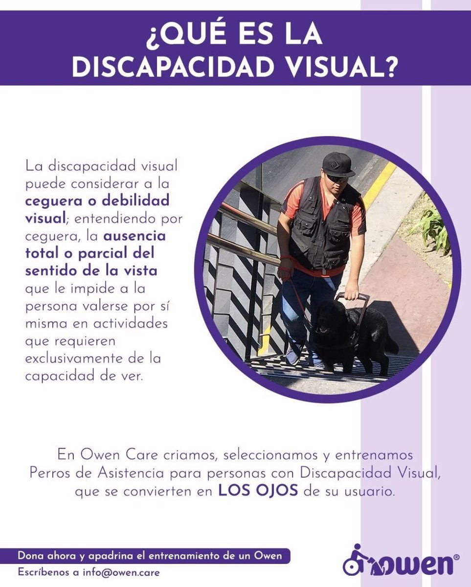owen_care's tweet image. En México 🇲🇽 hay más de 8 millones 700 mil personas con algún tipo de discapacidad visual. #PCD2021