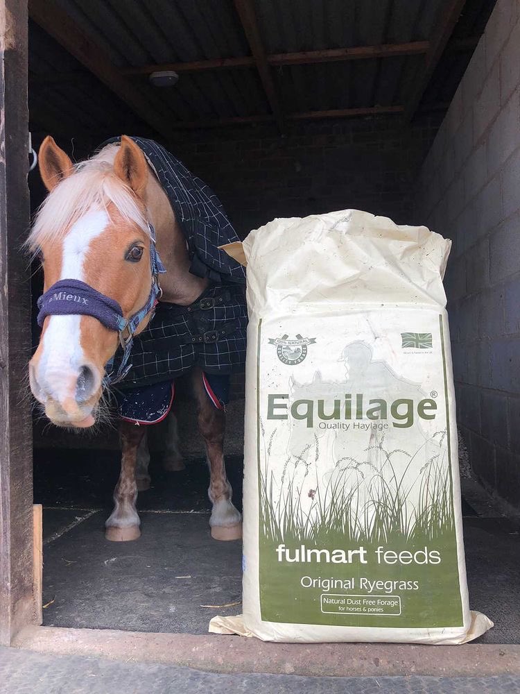FulmartFeeds's tweet photo. Love getting photos of happy horses. Sonny is a big fan of #Equilage https://t.co/W3wFqoagEY