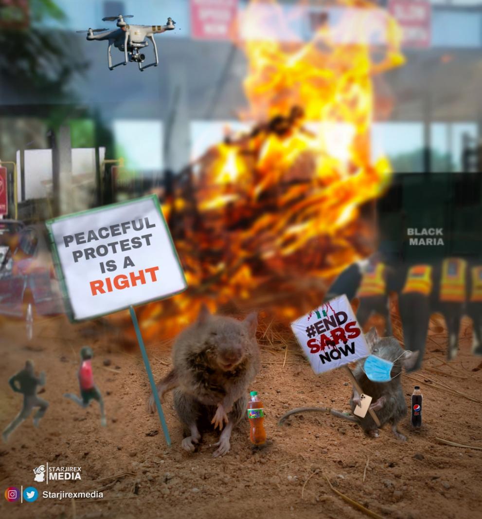I decided to create this today, after seeing #EndSARS trending again...My shot📸

It cost nothing to help re-tweet this🇳🇬

Yorubas || Oyo State || Vice president || Fulani || jide 
Seyi Makinde || Asaba || Thiago || Ambode || #BuhariMustGo