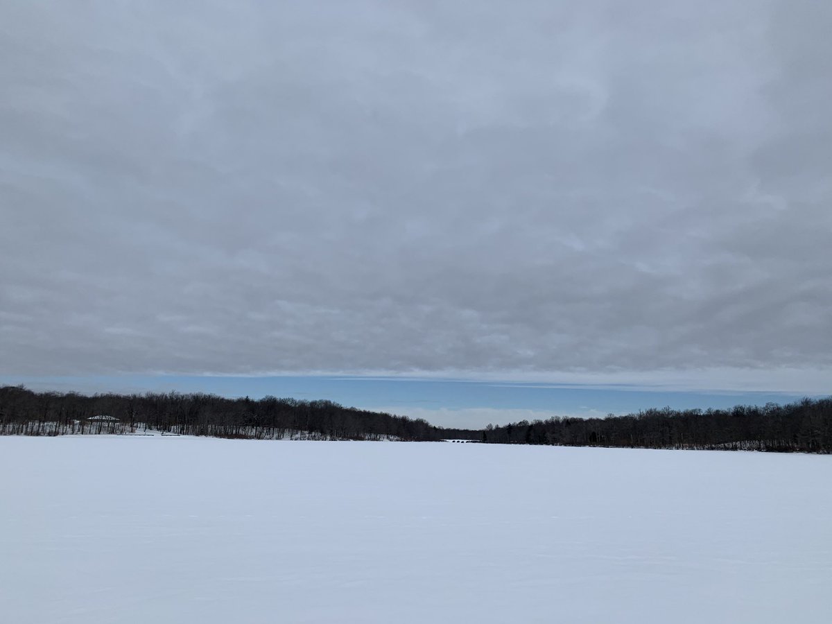 Monica Gibson tweet media