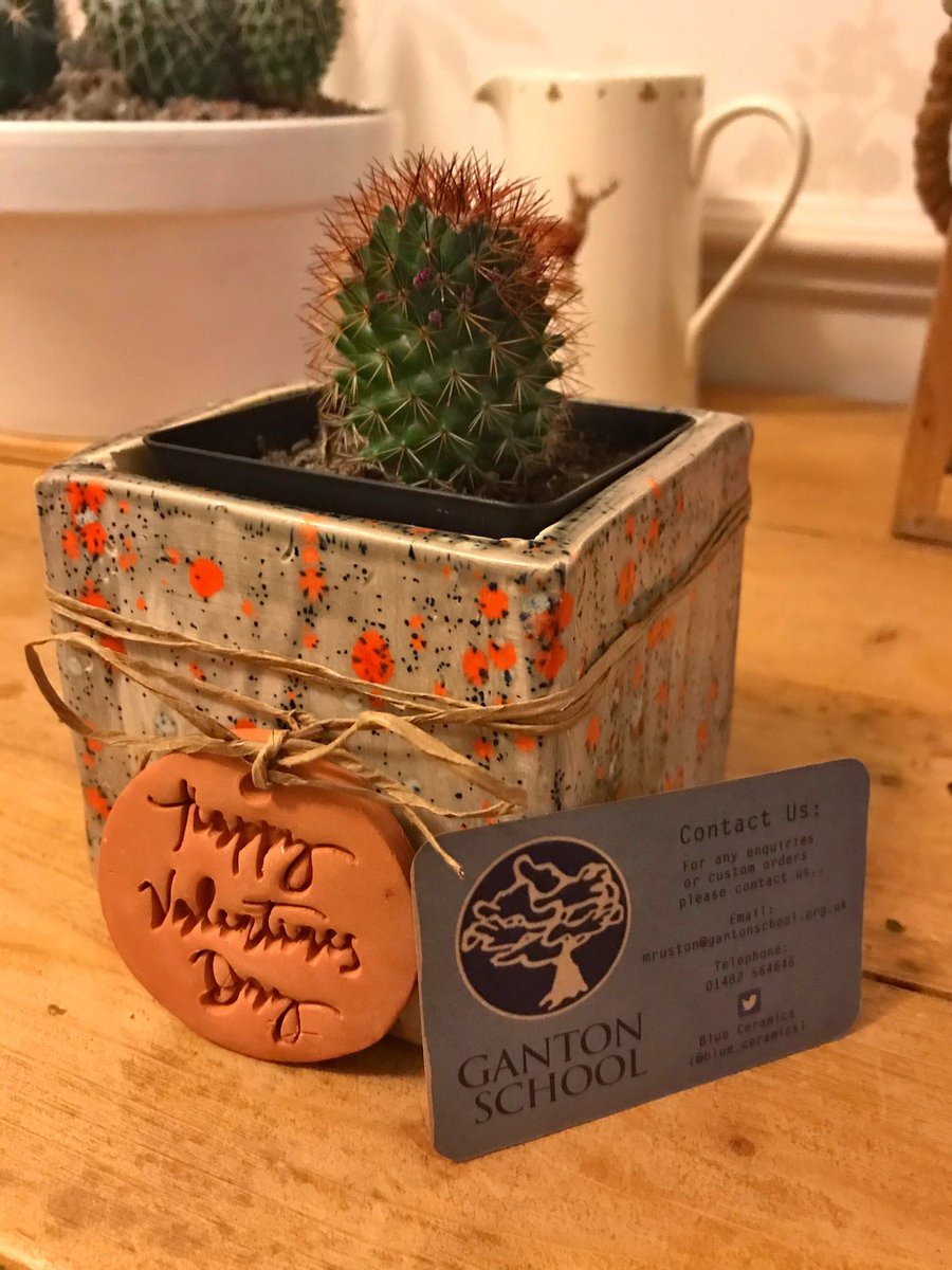 tracymunzer's tweet image. Look what landed on my doorstep today... from my lovely friend Natalie who supports the wonderful children @Ganton_Hull  @blue_ceramics .... thank you, it’s fabulous x