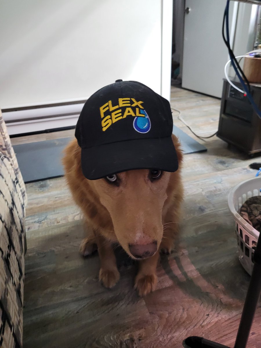 TheRealJoshBaer's tweet image. #flexseal