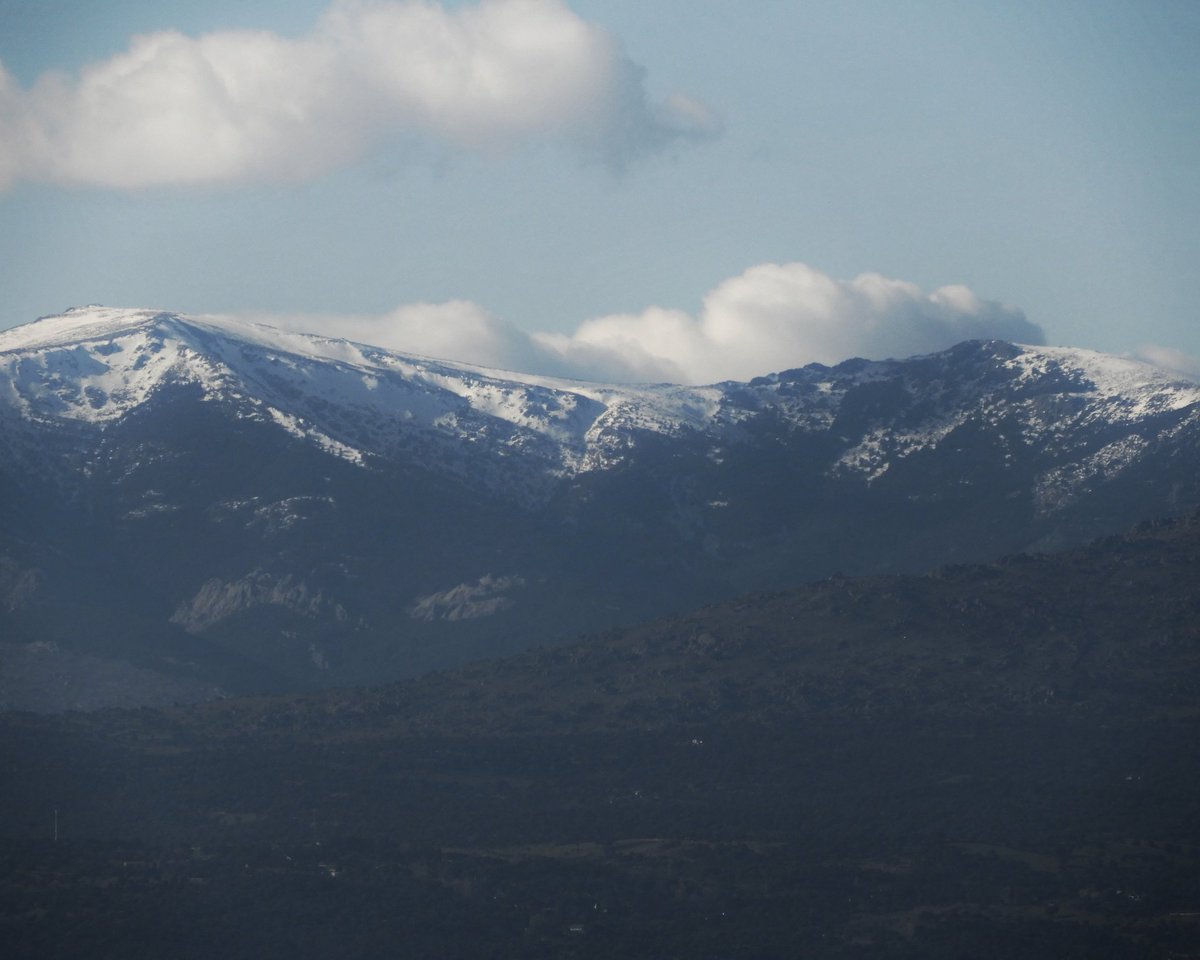 celesgalan64's tweet photo. Los #picos de la #SierraDeMadrid
#PNGuadarrama
Rodeados de #nubes como #estolas de #algodón
☁️🗻☁️ https://t.co/1r2J1s4JUI