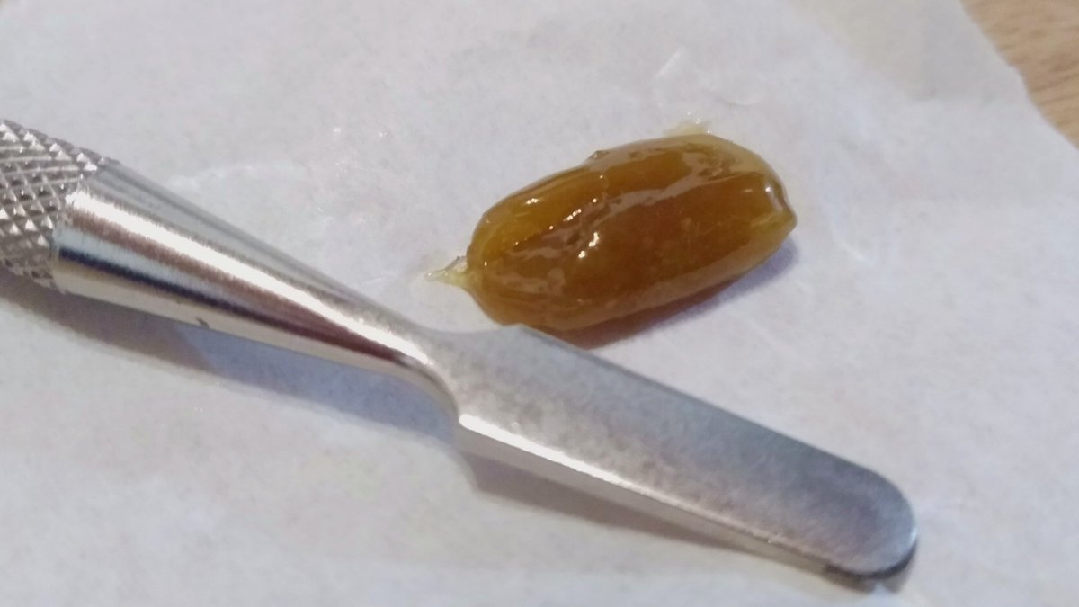 JoaquimW's tweet image. Rosin de 🍋Lemon Badazz n°1🍋

Estoy extrayendo de cada clon por si alguno destaca.

Gracias @cristomarihuano por enseñarme a elaborar caramelos 😜

#Autocultivo #Mmemberville #RosinTech