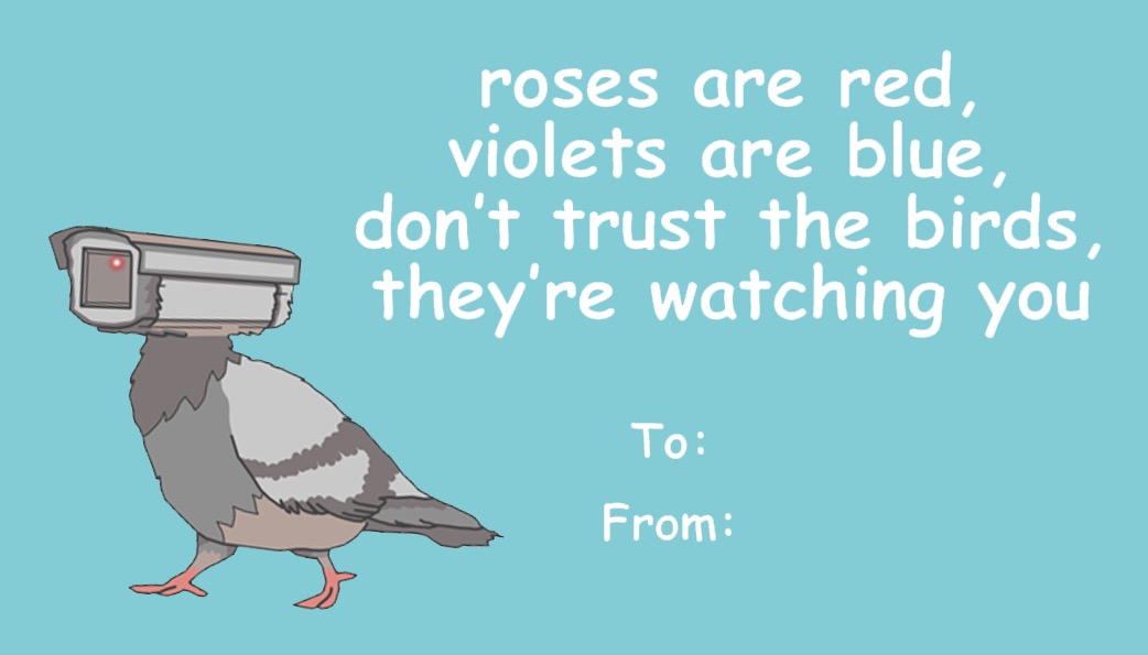 Valentine's message saying roses are red, violets are blue, don't trust the birds, they're watching you.