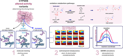 JCIM_JCTC's tweet photo. Deciphering Reaction Determinants of Altered-Activity #CYP2D6 Variants by Well-Tempered #Metadynamics Simulation and QM/MM Calculations
https://t.co/l3DD3UOAxb
@MSmiesko
#issue_12 #vol_60 #Pharmaceutical_Modeling https://t.co/q1XFqjMmrY