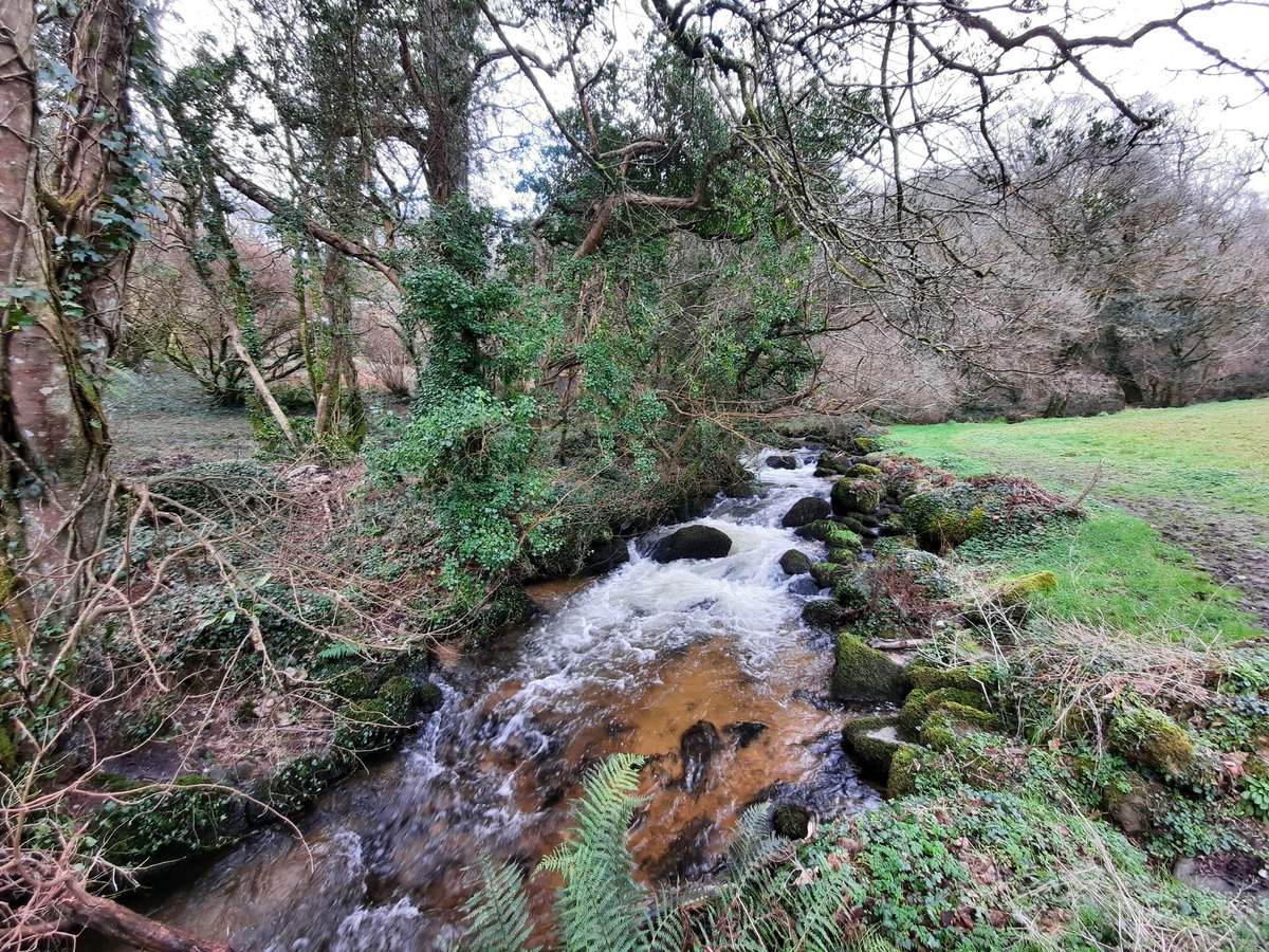 A lovely stream on our #lockdown walk!
.
.
.
.
.
#plasticfree #plasticfreecoastlines #plasticpollution #cornwall #cornwallcoast #coast #coastpath #cornwallphotography #cornwalllife #beach #beachbum #beachlife #beachcleanup #beachclean #westcornwall #cornwallcoastpath #nature