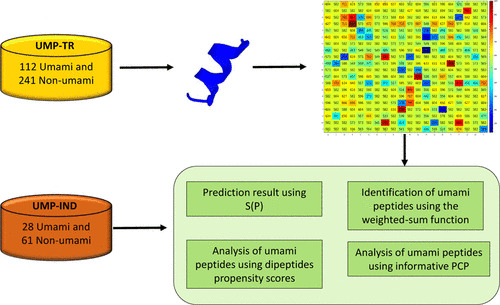 JCIM_JCTC's tweet photo. #iUmami-SCM: A Novel Sequence-Based Predictor for Prediction and Analysis of Umami Peptides Using a #Scoring Card Method with Propensity Scores of Dipeptides
https://t.co/rRKMK9N4Yi
@chanin_nanta
#issue_12 #vol_60 #Bioinformatics https://t.co/sFNut23Zr1