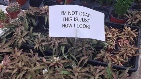 jasonmustian's tweet image. Found my new catch phrase.