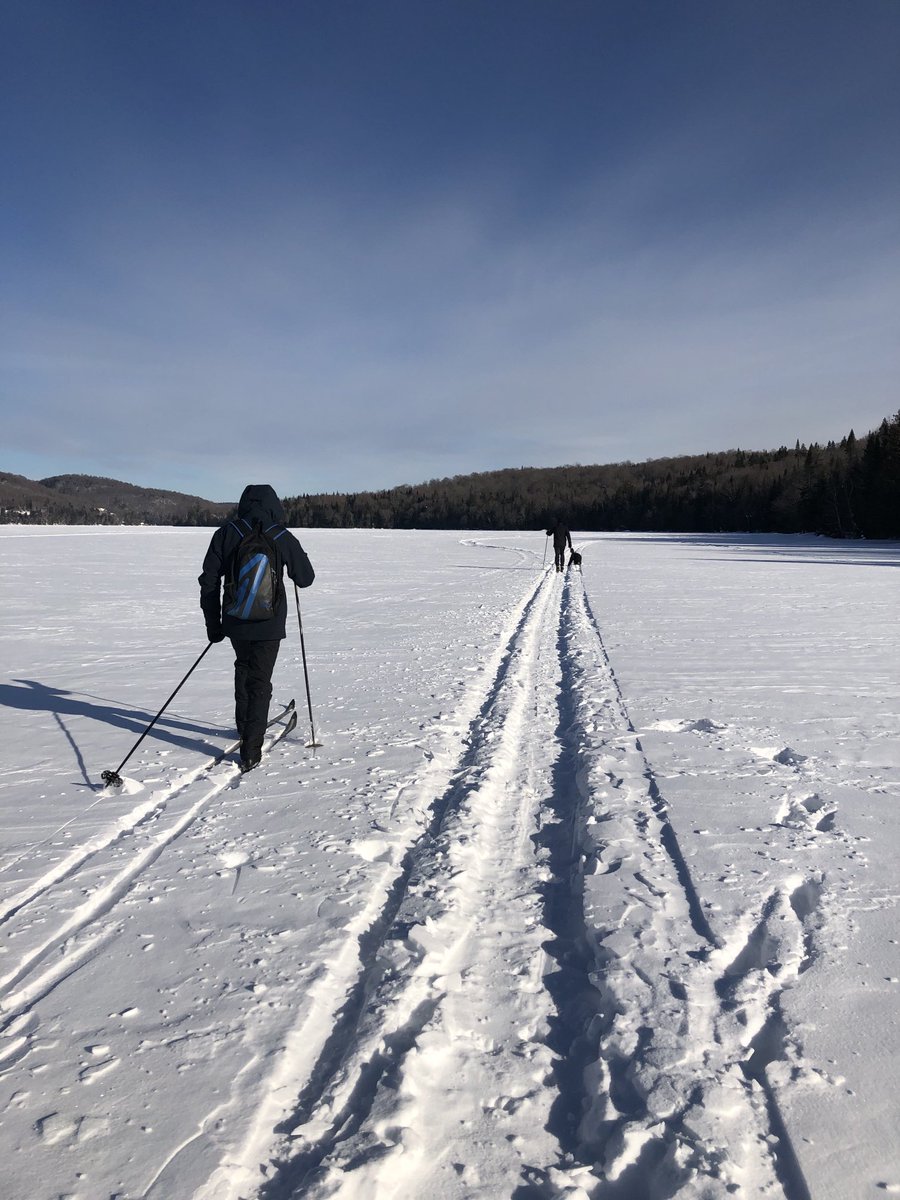 Sandra Ng tweet media