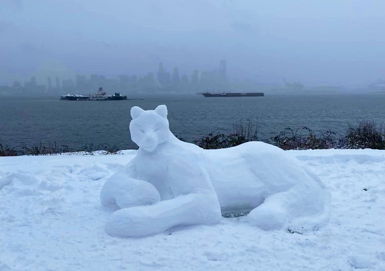 Found in #WestSeattle Is this a big winter Cat? Snow Leopard🐆? #Q13Fox