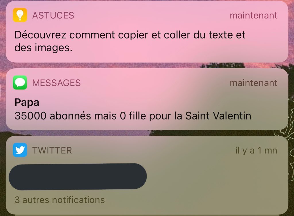 cmoitibo's tweet photo. Bonne soirée à tous https://t.co/ZTx5wVQ8QE