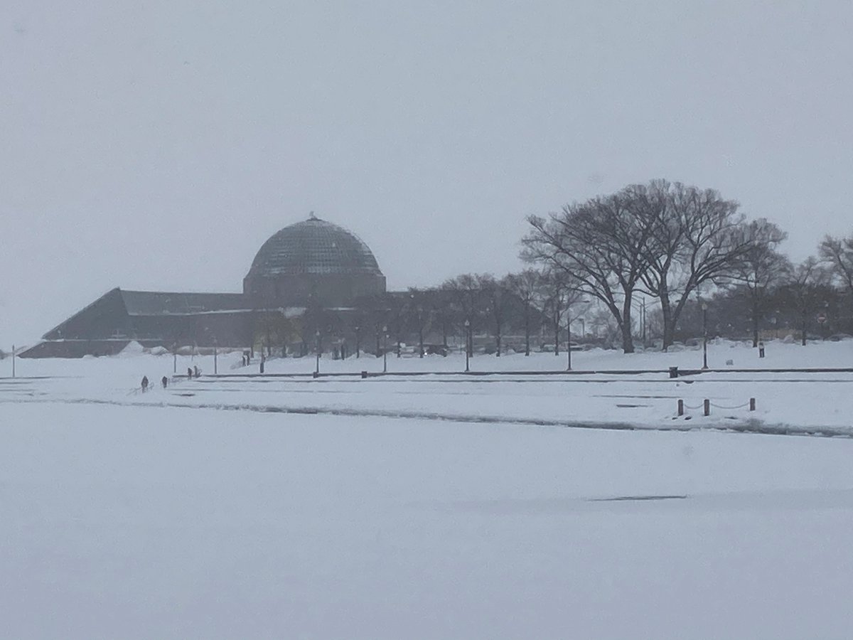 Passing by the Adler planetarium.