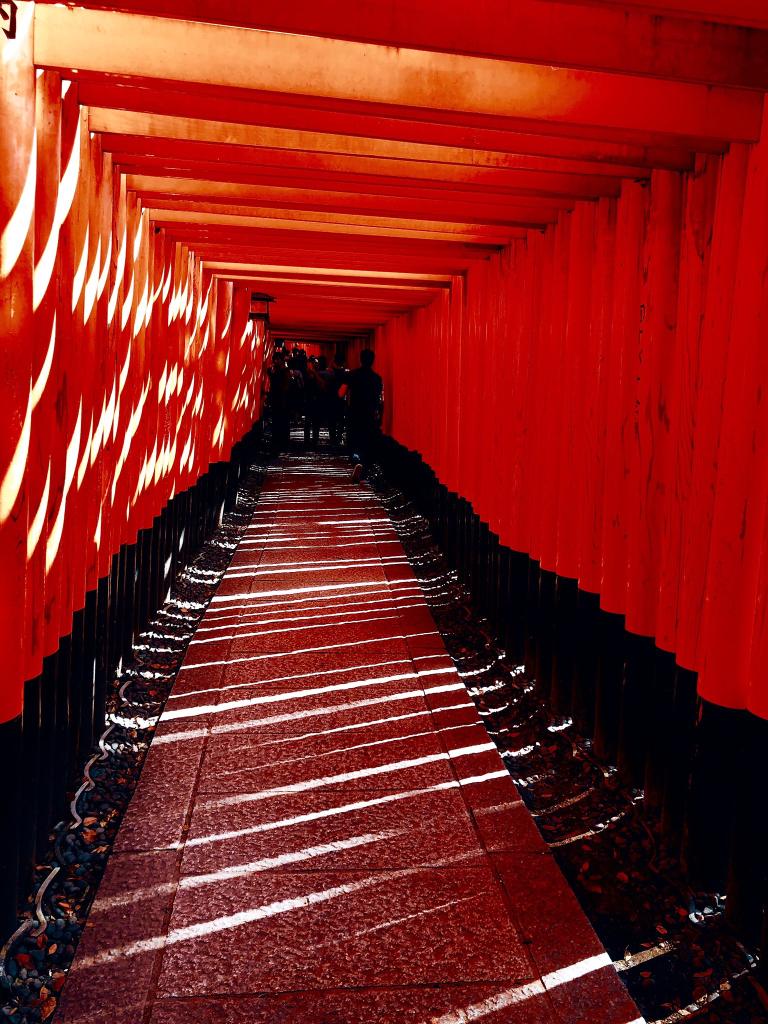 椿 冬華 5 伏見稲荷大社 神社の中でダントツに好き 京都に住んでいた時 歩いて分のところに伏見稲荷大社があったのでよく行ってました 千本鳥居は見もの お狐さまもカワイイ ちなみにわたしの小説に出る九尾神社の本尊さまは椿狐 神社のモデル