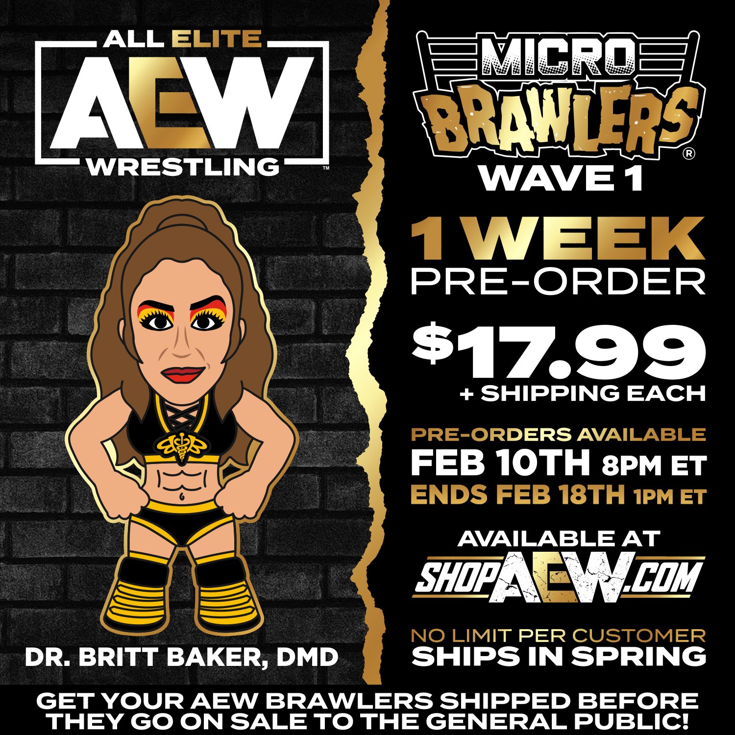 Dr. Britt Baker, D.M.D. on X: WAVE 1 GANG. Make sure you order your  Brawler Britt! Someone send one over to Madusa, too. I hear she's a huge  fan. 😘  /