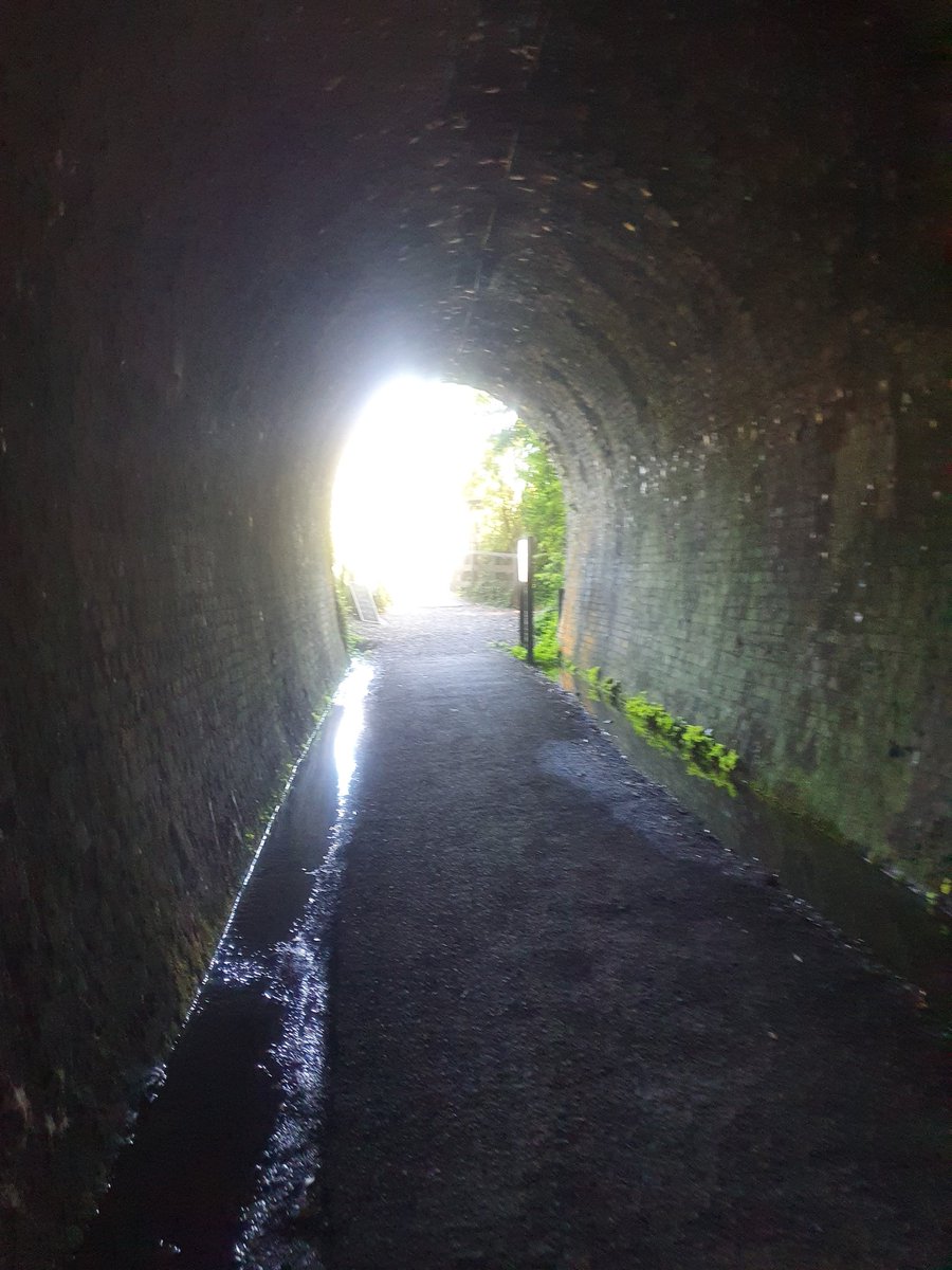 duck_willy's tweet photo. Sundays are for walking 🚶♀️quick whip in the karangahake gorge this morning #wellbeing #nokidsweekend #NZHellhole https://t.co/DbSzB65hag