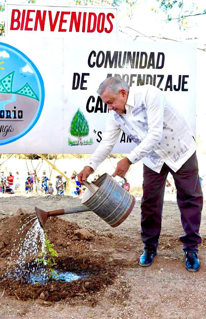 bienestarmx's tweet photo. En marzo se pagarán tres meses conjuntos a integrantes de Sembrando Vida: Javier May 👉 https://t.co/tf3TF4ddry https://t.co/NFSdm8Nm5O