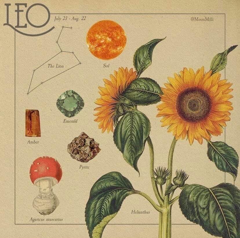 bielei_'s tweet photo. Mi signo solar, me ascendente y mi lunar ♥️ el drama y el llanto son muy míos JAJAJAJA y la sensibilidad tmb ♥️ os quiero piscis https://t.co/2waR630UJa