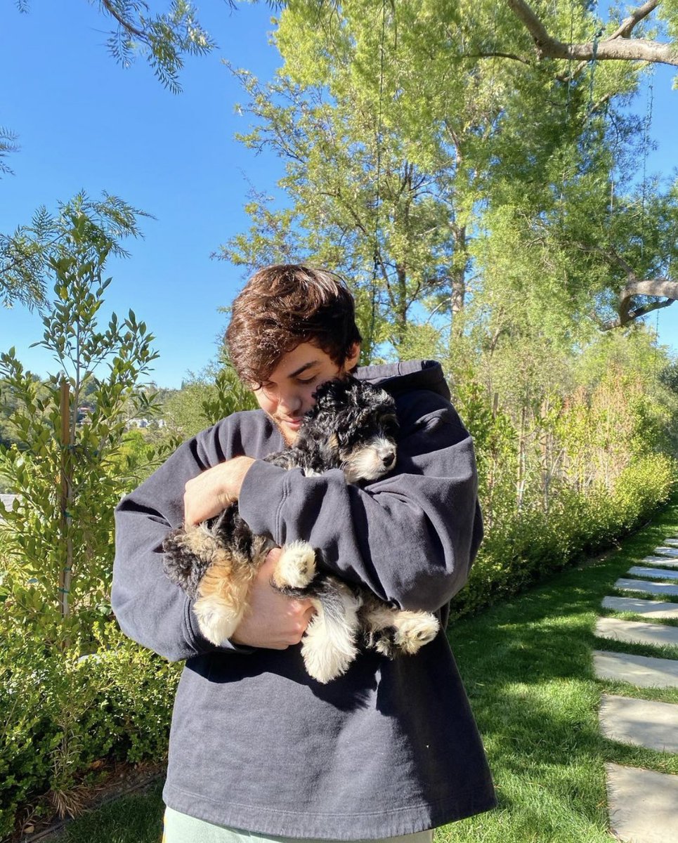 nocturnaIgray's tweet photo. i still can’t get over the fact that the twins now have a dog they’ve been waiting for so long to get a pet and i can’t wait for more cute content with their adorable dog 😍🤍 https://t.co/FFKZDBPCJn