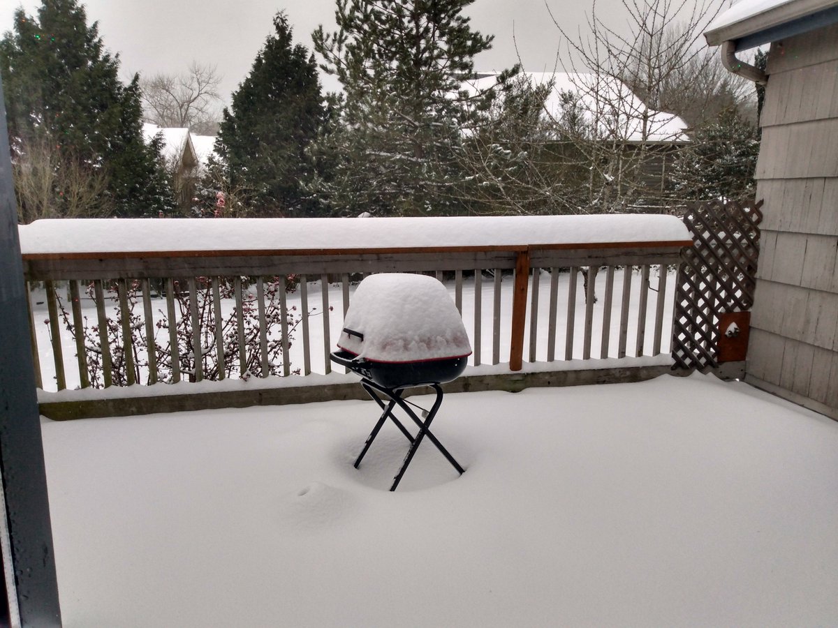 BestGoldens's tweet photo. 10+ inches and still snowing in Kenmore, Washington! 

#KING5 
#seattlesnow2021 https://t.co/HYpThHv1fH