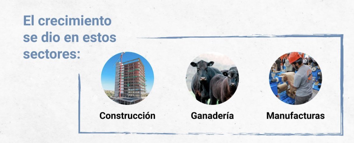Albergls's tweet photo. Py 2020... nuestra ganadería amortiguando: gobiernos, pandemias .... noble y digno rubro del cual siento orgullo de formar parte. https://t.co/57SaMsI2Ro