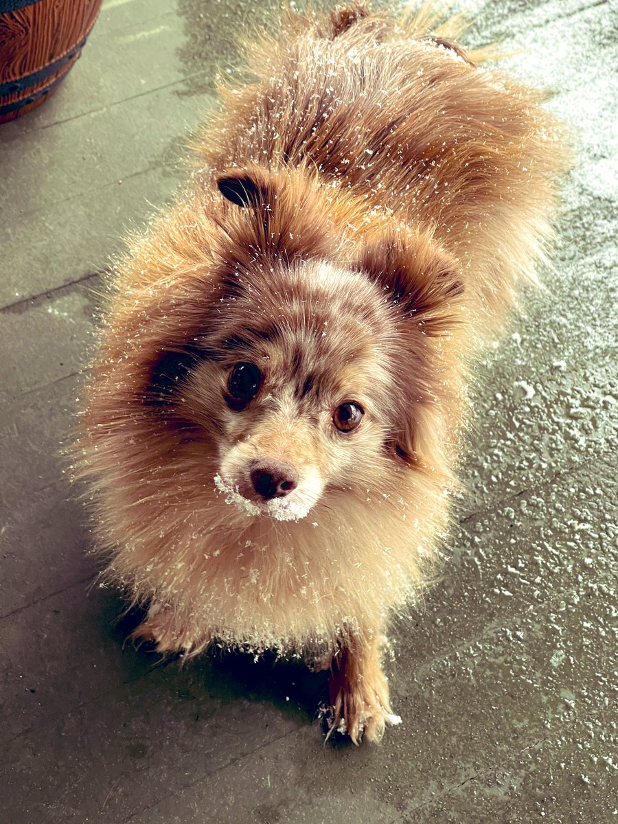 Caitlin Obom tweet media