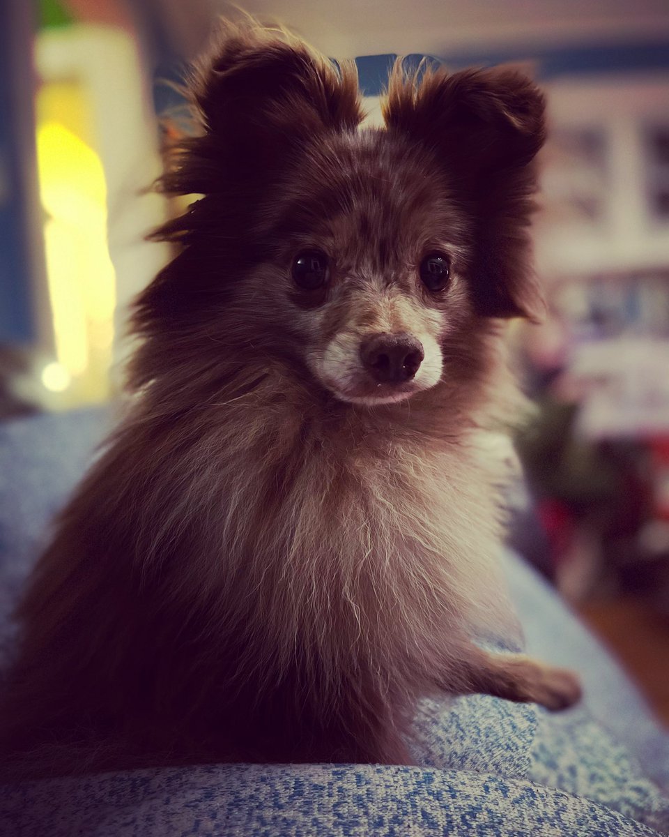 Caitlin Obom tweet media