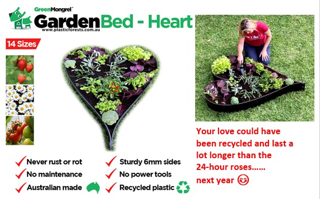 Plastic Forests Pty Ltd tweet media