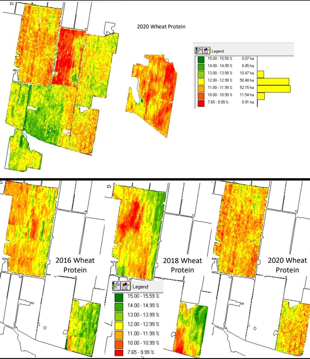 Taking my time looking at all the data, but the paddocks that didn't have VR nitrogen show pretty clearly. Below is how a couple of paddocks have evened up with 3yrs or VR applications (spreading based on previous years protein only) #urea #nitrogen #protein #3300h <a href="/cropscan/">CropScanAg</a>