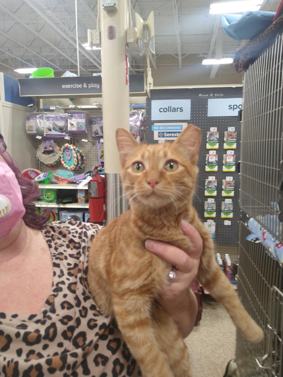 My Best Chance: Animal Rehabilitation Center tweet media