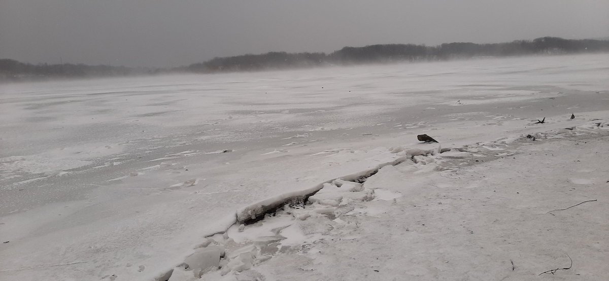 #rbgtrails Cootes Marsh