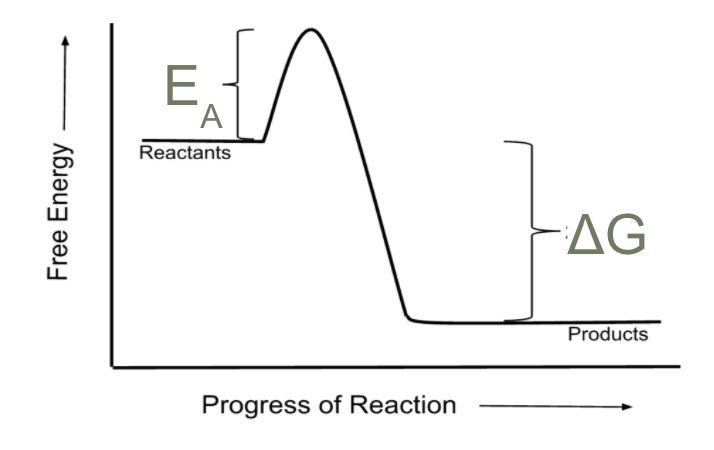 [Chemistry] Your startup is a chemical rxn. Value prop dictates thermo, business model dictates kinetics. Success requires [A] an exothermic reaction (products more valuable than reactants) & [B] overcoming activation barriers (fundraising, distribution, etc.). /2