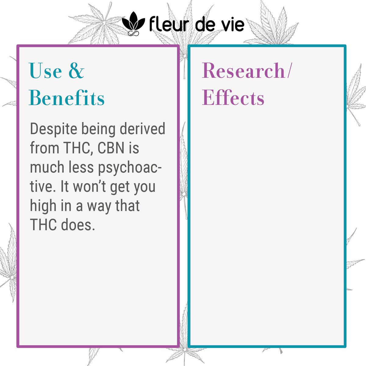 fleurdeviecbd's tweet photo. #CBN is a by product of #THC, when exposed to heat or oxygen, or when the plant starts to age, it coverts to CBN.

Even though CBN is derived from THC it is much less psychoactive and won't get you #high.   

 #morethancbd #fleurdeviecbd #plantsoverpills #cannabiscommunity https://t.co/3eWxCPfU0O