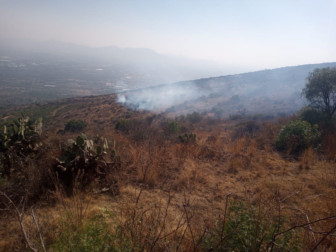 #ÚltimaHora: Se reporta incendio en el #ParqueEstatal Cerro Gordo, paraje Santiago Tolman en el municipio de #San MartínDeLasPirámides. Acuden a su atención brigadas de la Coordinación General de Conservación Ecológica de la #SMA.