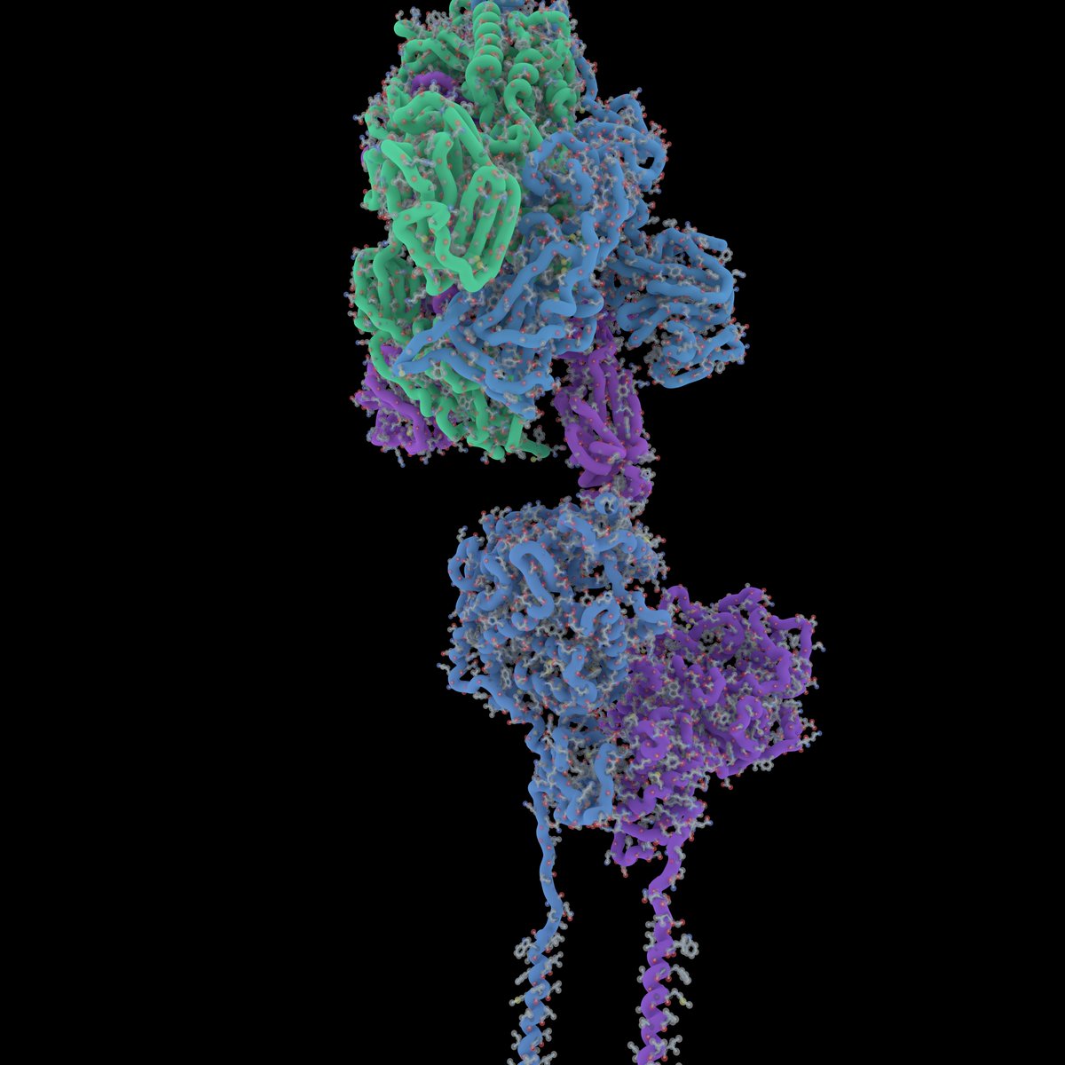 Galaxy Project isn't forgotten: snowflake  @trvrb, "woke"  @firefoxx66, shitty non-open souce data  @nextstrain/ @GISAID = "muuuh mutations" -agenda fearpr0nRemember D614G mutation? No clinical significance.  https://twitter.com/jxtx/status/1240710224245329920 https://archive.is/CgoeH  https://jxtxmemorial.github.io//obituaries.html  https://twitter.com/galaxyproject/status/1246095797839482886