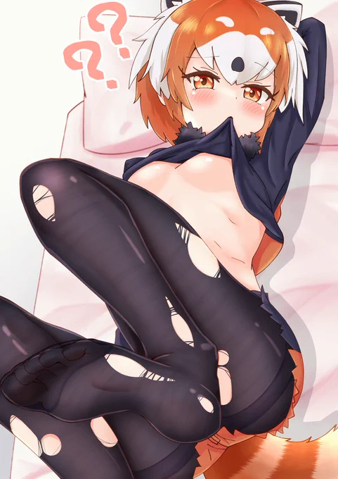 タイツが破れちゃったレッパンちゃんに怪我が無いかよく診るからじっとしててね......#けものフレンズ 