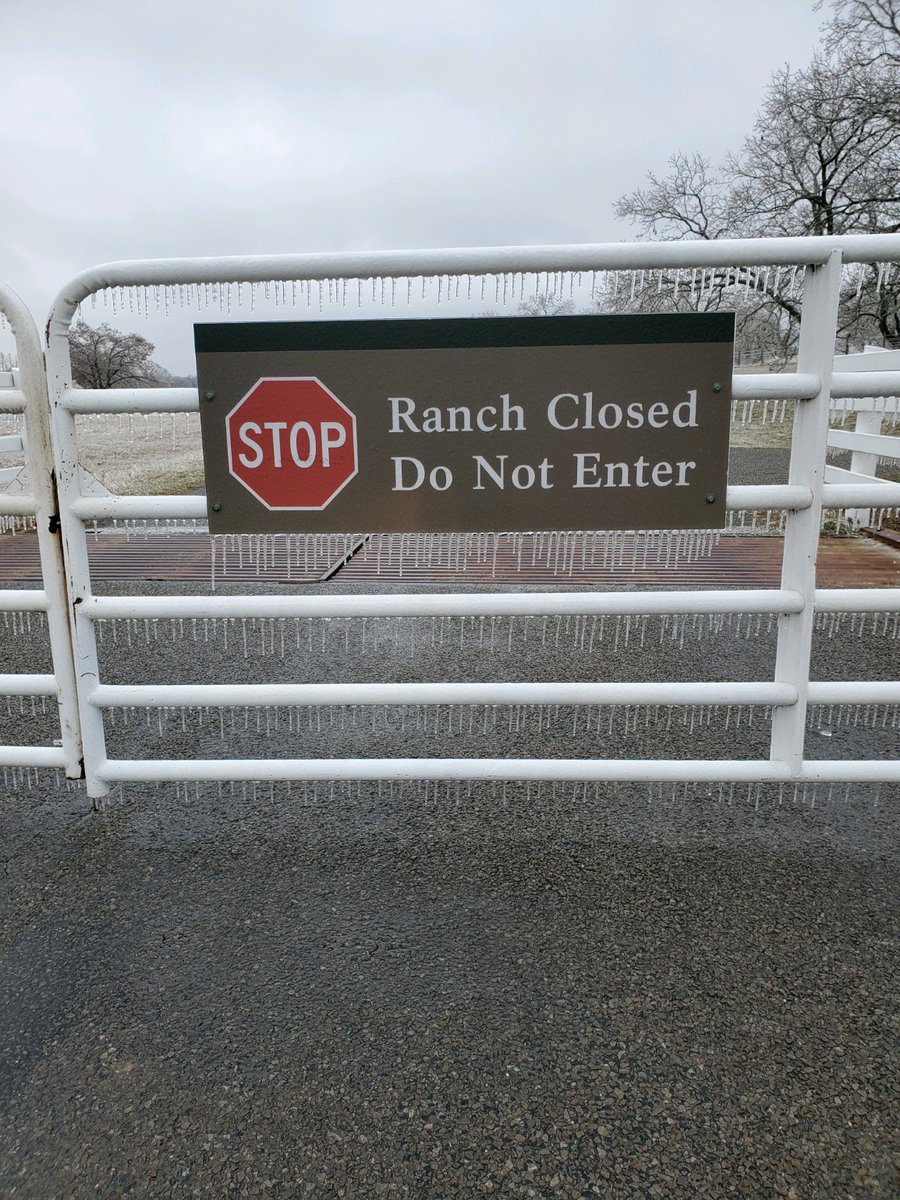 Lyndon B Johnson NHP tweet media