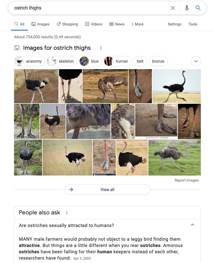 digitalkitty's tweet photo. Also WTF google... I google ostrich thighs and I get the "People also ask:" as "Are ostriches sexually attracted to humans?" Who fuck is Googling that?! https://t.co/wHn3NL8sWr