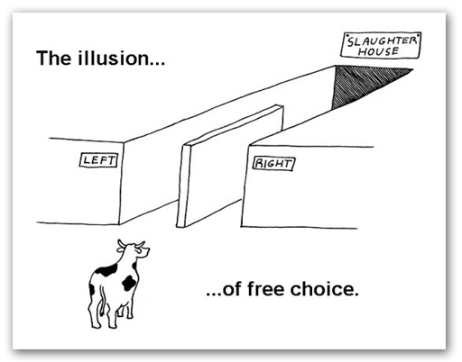 This system, limits choice and cements a two-party system.It essentially forces you to choose between two candidates from the main two parties (neither of whom may share your values), and doesn't allow you to choose the candidate you actually want.