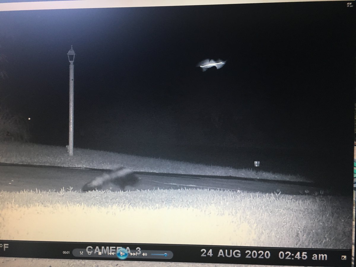 Flying Rods At Night Flying Rods (@RodsFlying) / Posts / X