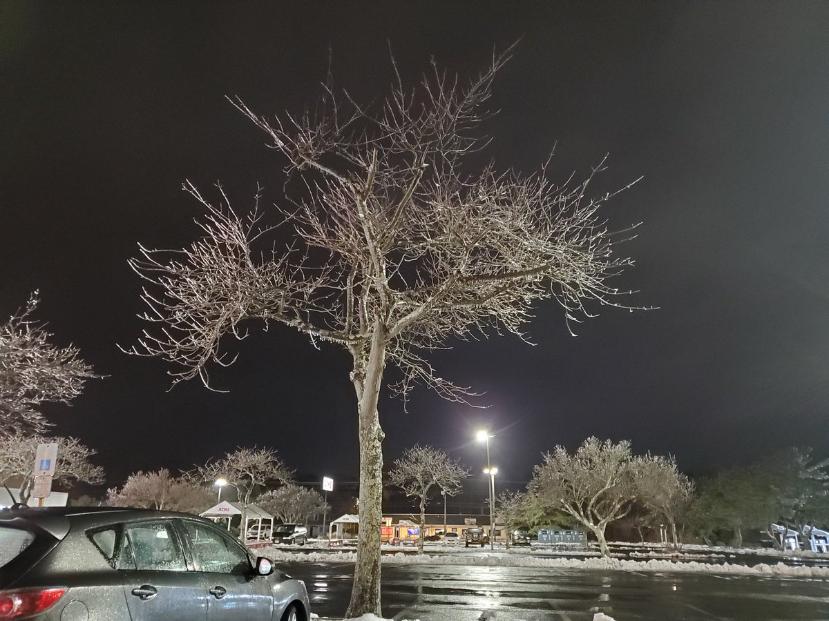 SoBrunswickPD's tweet photo. Ice on the trees. Use caution overnight and in the morning.  @NWS_MountHolly https://t.co/IxtjUVlHqf