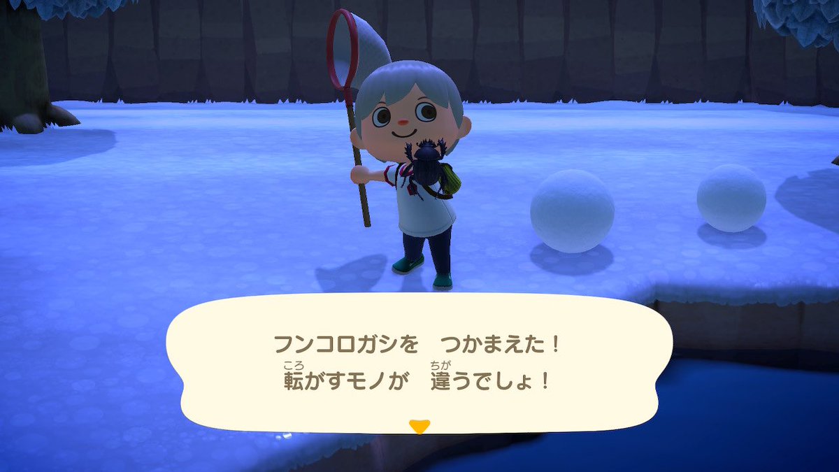 あつまれどうぶつの森 フンコロガシの出現時期と場所 値段などの攻略情報まとめ あつ森 攻略大百科 あつまれどうぶつの森 フンコロガシの出現時期と場所 値段などの攻略情報まとめ あつ森 攻略大百科