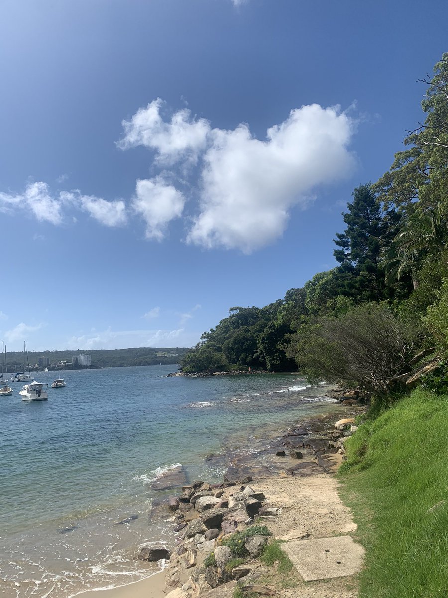 KateForsyth's tweet photo. My #morningwalk round the harbour to #manly & back #beautiful #imexhaustednow https://t.co/D3yGdWh2JM